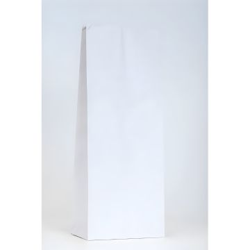 Vrečka brez ročaja kg 24X60X12 10